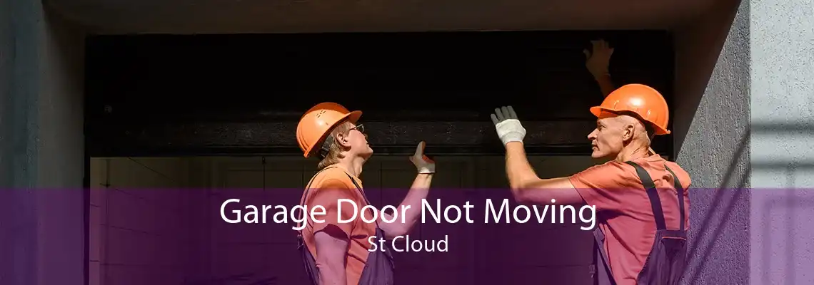 Garage Door Not Moving St Cloud