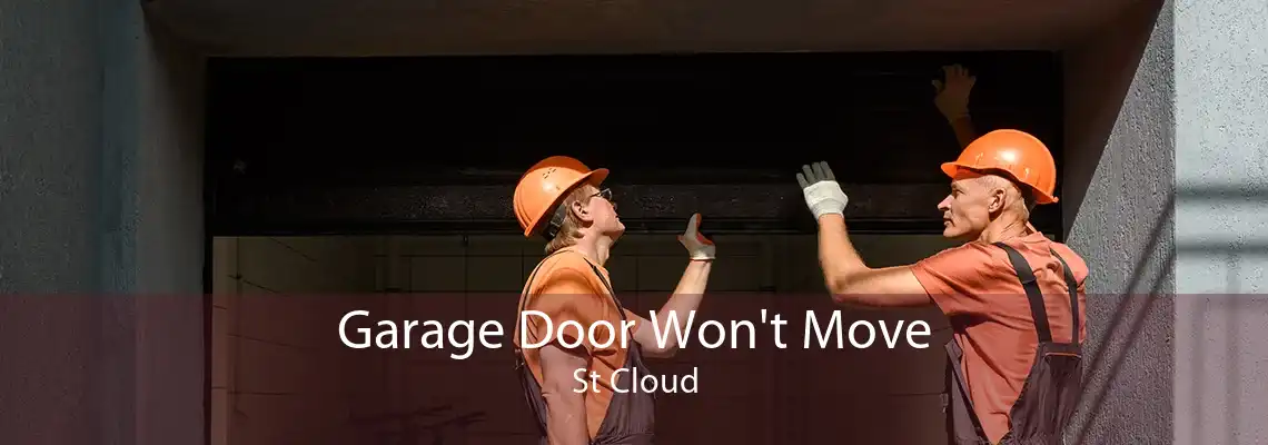 Garage Door Won't Move St Cloud